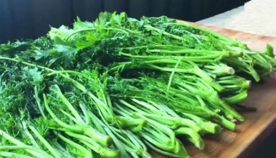 雪里红怎么腌又绿又脆又好吃 制作雪里红：绿脆美味的腌制方法
