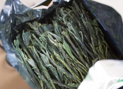 太平猴魁是什么茶叶品种