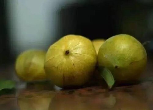 油甘子一天吃多少个最合适