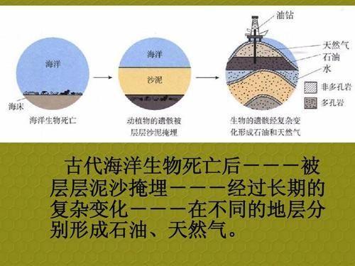 石油可以再生吗