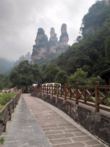 张家界适合老年人游玩吗 张家界景区门票老年人免票吗