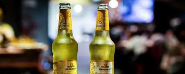 啤酒的酒精度是多少度
