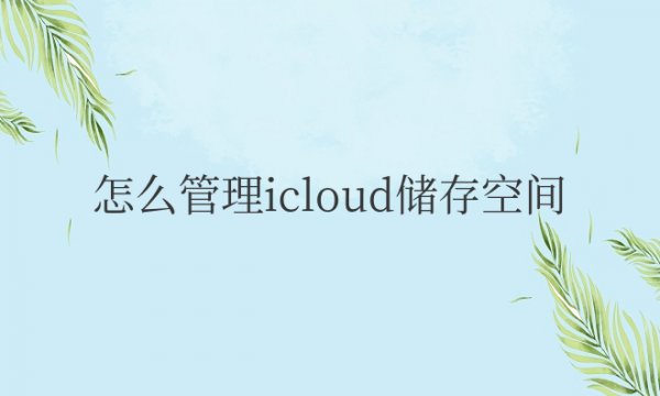 怎么管理icloud储存空间照片