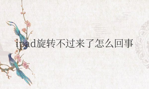 ipad旋转不过来了怎么回事