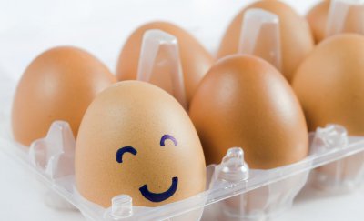 鸡几个月开始下蛋 导致母鸡产蛋量下降的因素有哪些