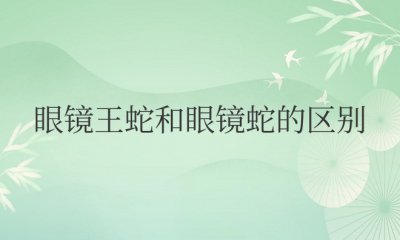 眼镜王蛇和眼镜蛇的区别对比图片 眼镜王蛇与眼镜蛇：异同对比图