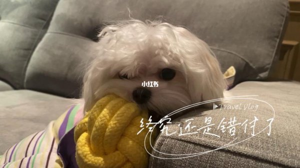 终究还是我错付了你是什么意思网络用语
