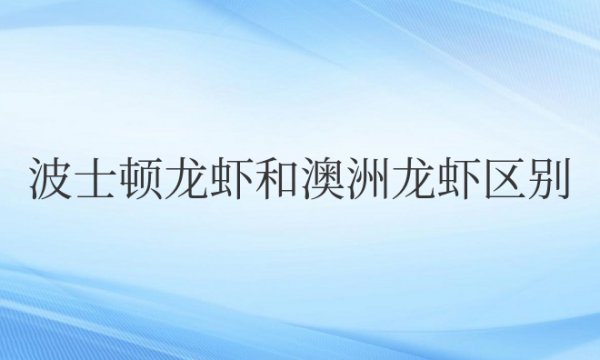 波士顿龙虾和澳洲龙虾区别