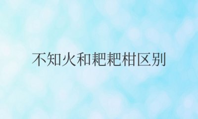 不知火和耙耙柑区别在哪儿 不知火与耙耙柑有何异同？