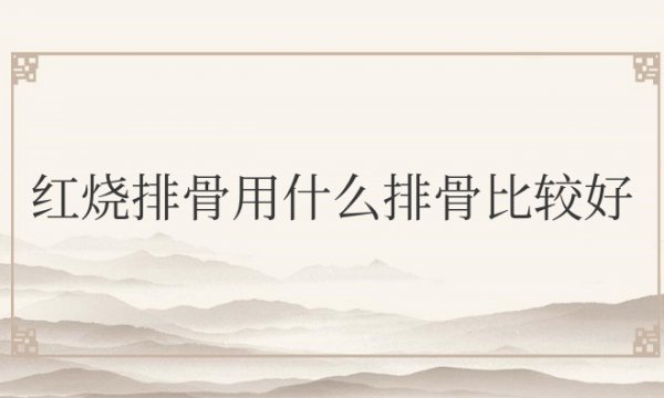 红烧排骨用什么排骨比较好吃窍门