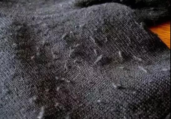 植物羊绒棉是什么面料？起球吗？