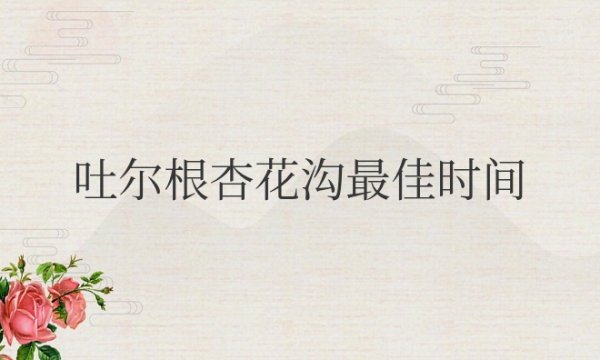 吐尔根杏花沟最佳时间