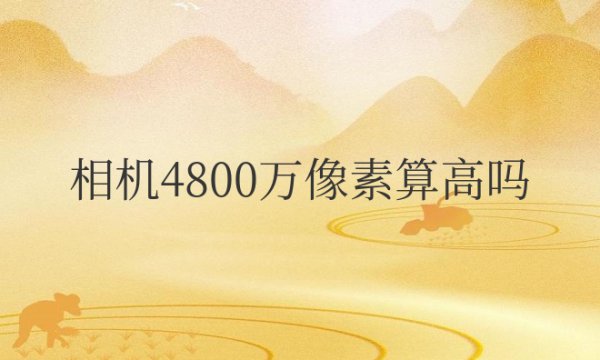 相机4800万像素算高吗