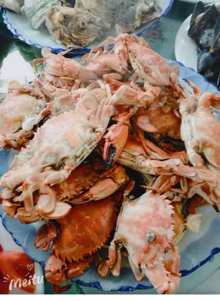 东戴河美食排行