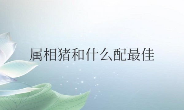 属相猪和什么配最佳