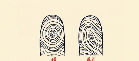 女人十指无螺好不好