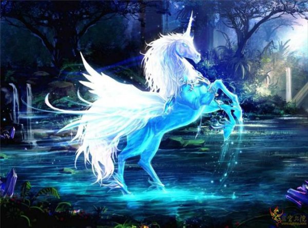 unicorn女孩什么特殊含义