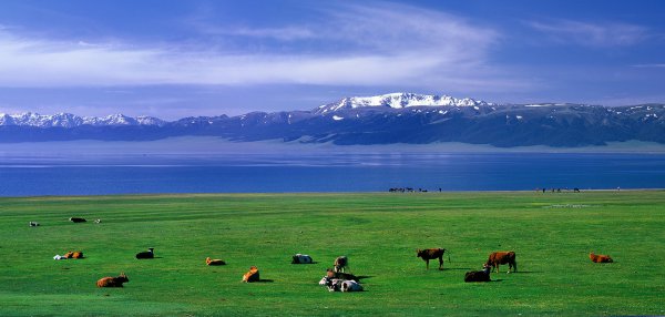 七八月旅游最佳地点
