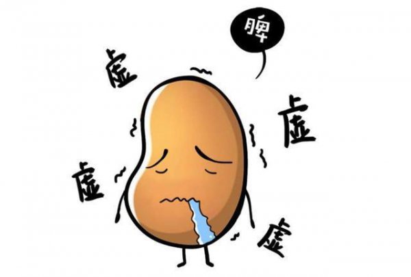 脾虚表现与症状详解