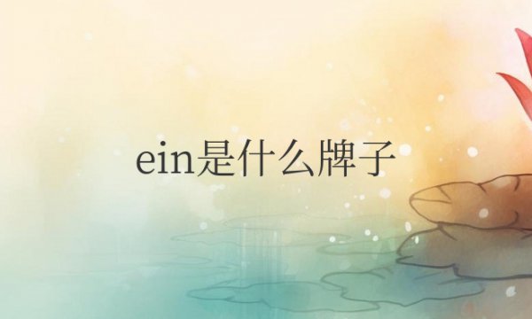 ein是什么牌子