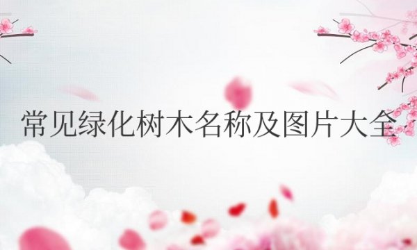 常见绿化树木名称及图片大全