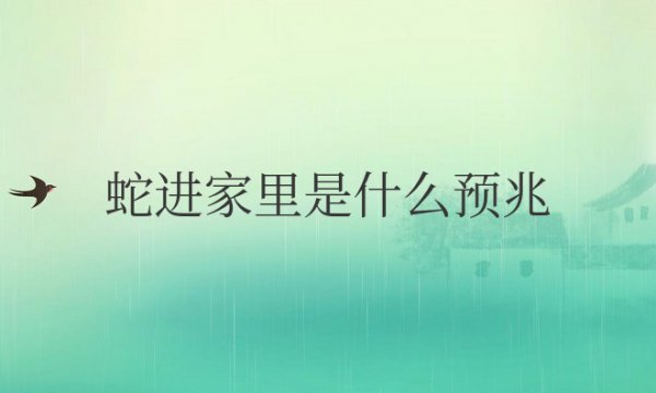 蛇进家里是什么预兆？打死了可以吗？
