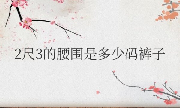 2尺3的腰围是多少码裤子女