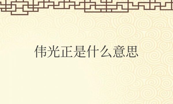 网络用语伟光正是什么意思