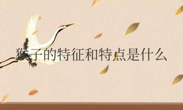 猴子的特征和特点是什么简单介绍