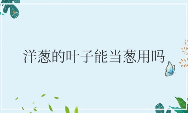 洋葱的叶子能当葱用吗
