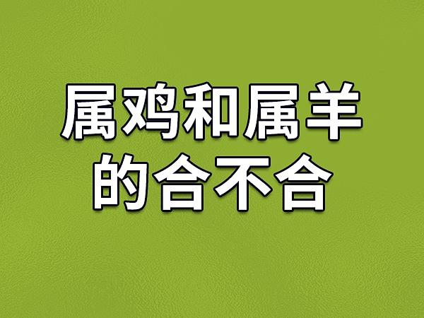 属羊和属鸡的合不合婚姻？适合做夫妻吗？