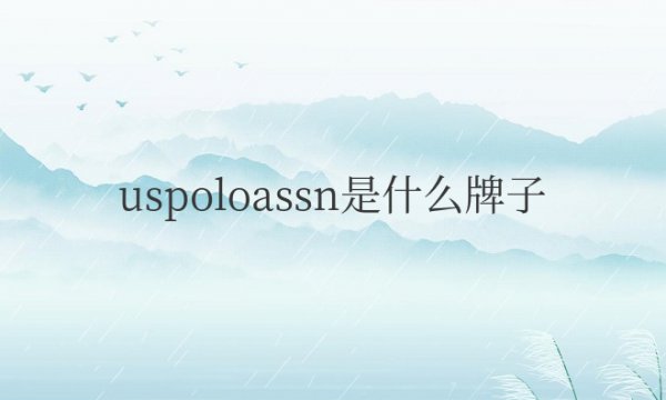 uspoloassn是什么牌子档次？价格贵吗？