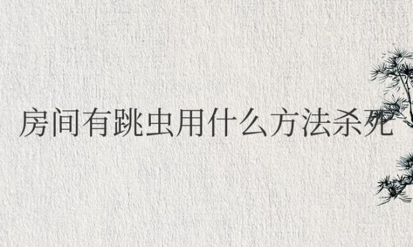 房间有跳虫用什么方法杀死最好