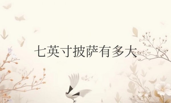 七英寸披萨有多大？够一个人吃吗？