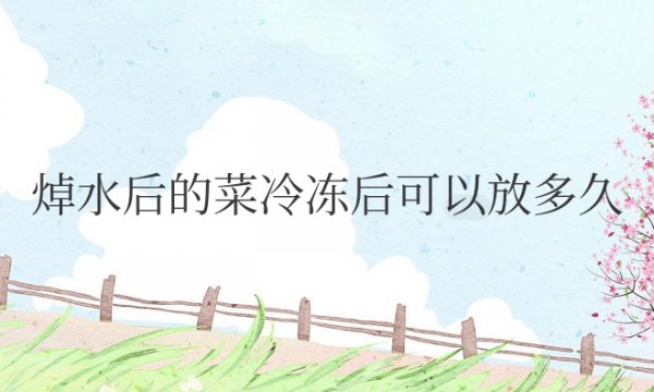 焯水后的菜冷冻后可以放多久时间