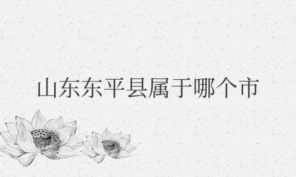 山东东平县属于哪个市