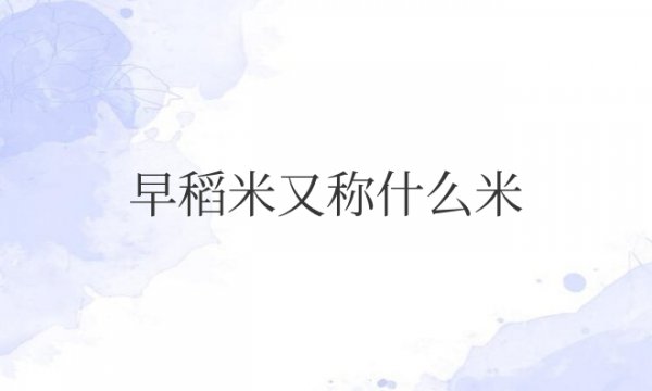 早稻米又称什么米