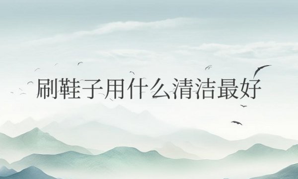 刷鞋子用什么清洁好又白又干净