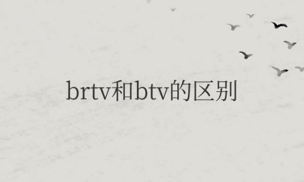 brv和bvv的区别和用途