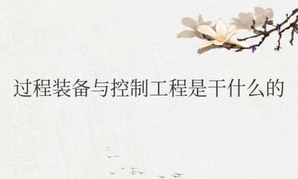 过程装备与控制工程是干什么的适合干什么