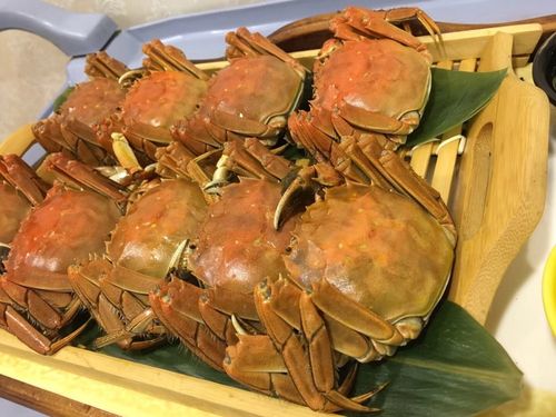 东台市属于哪个省哪个市