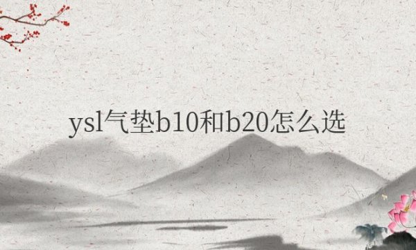 ysl气垫b10和b20怎么选