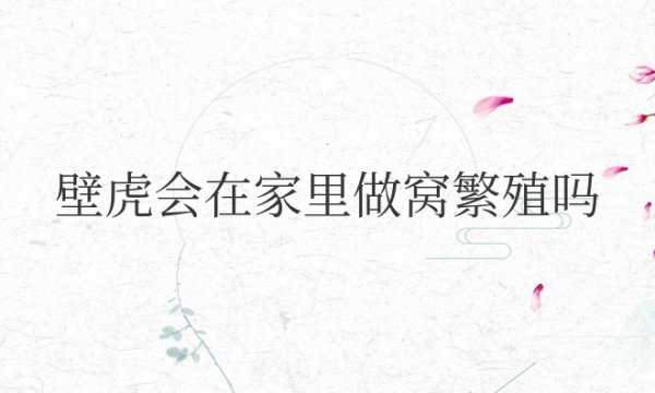 壁虎会在家里做窝繁殖吗