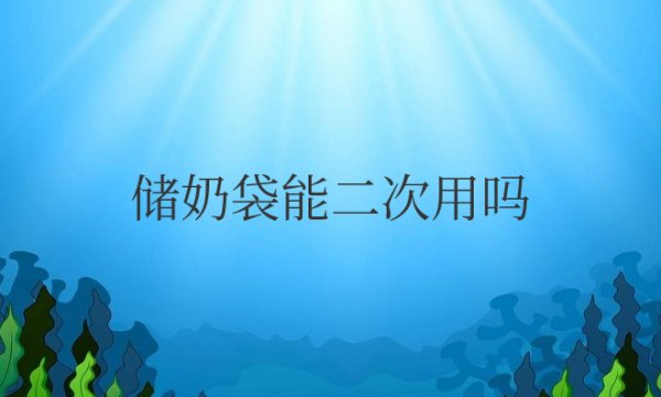 储奶袋能二次用吗