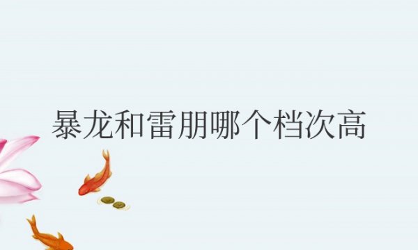 暴龙和雷朋哪个档次高？？哪个值得入手？