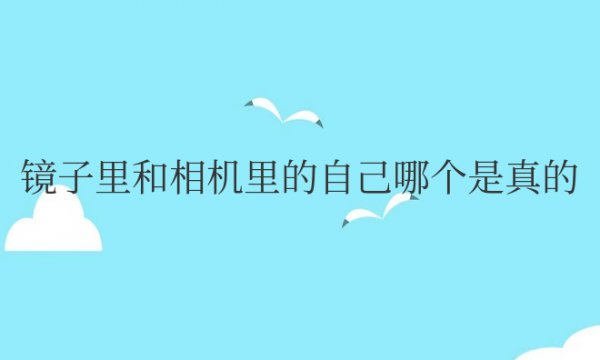镜子里和相机里的自己哪个是真的科学
