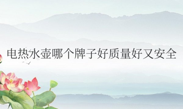 家用电热水壶哪个牌子好质量好又安全
