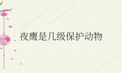 夜鹰是几级保护动物 夜鹰的保护级别是什么？