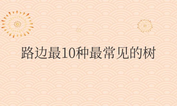 路边最10种最常见的树图片及名字