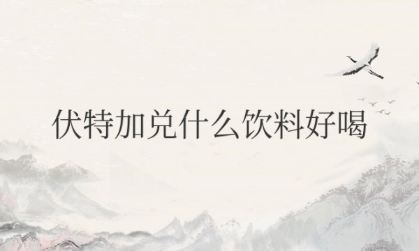 伏特加兑什么饮料好喝